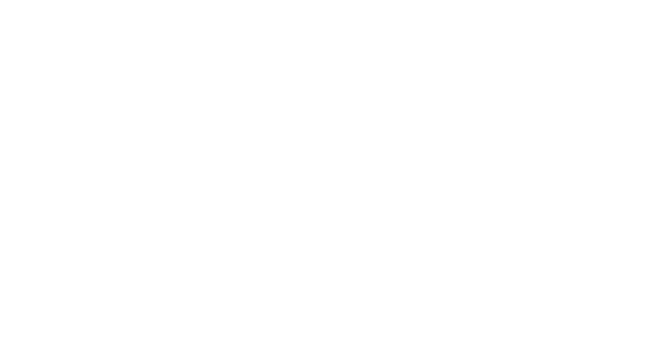 巷でウワサの〝韓国チキン〟